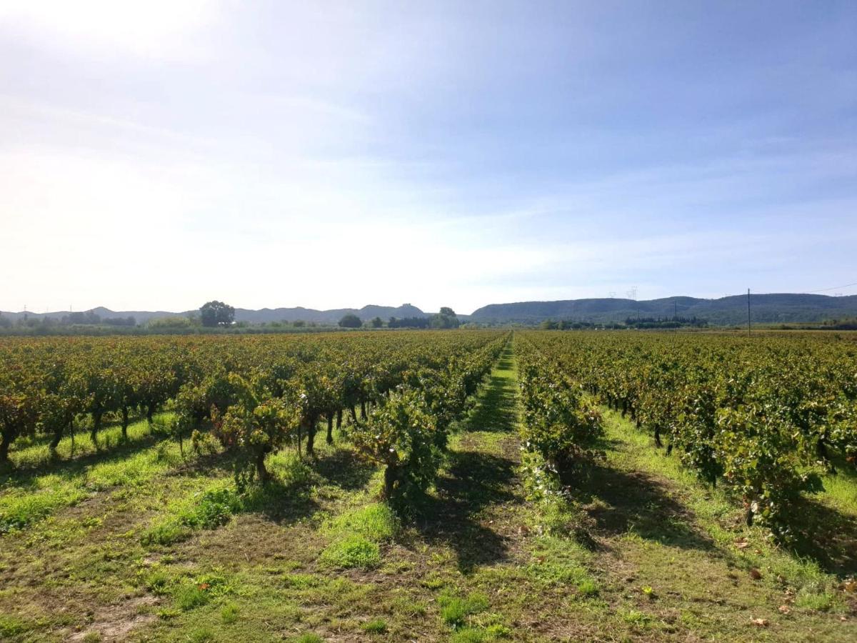 Domaine De Sevanes Saint-Paul-les-Fonts Экстерьер фото