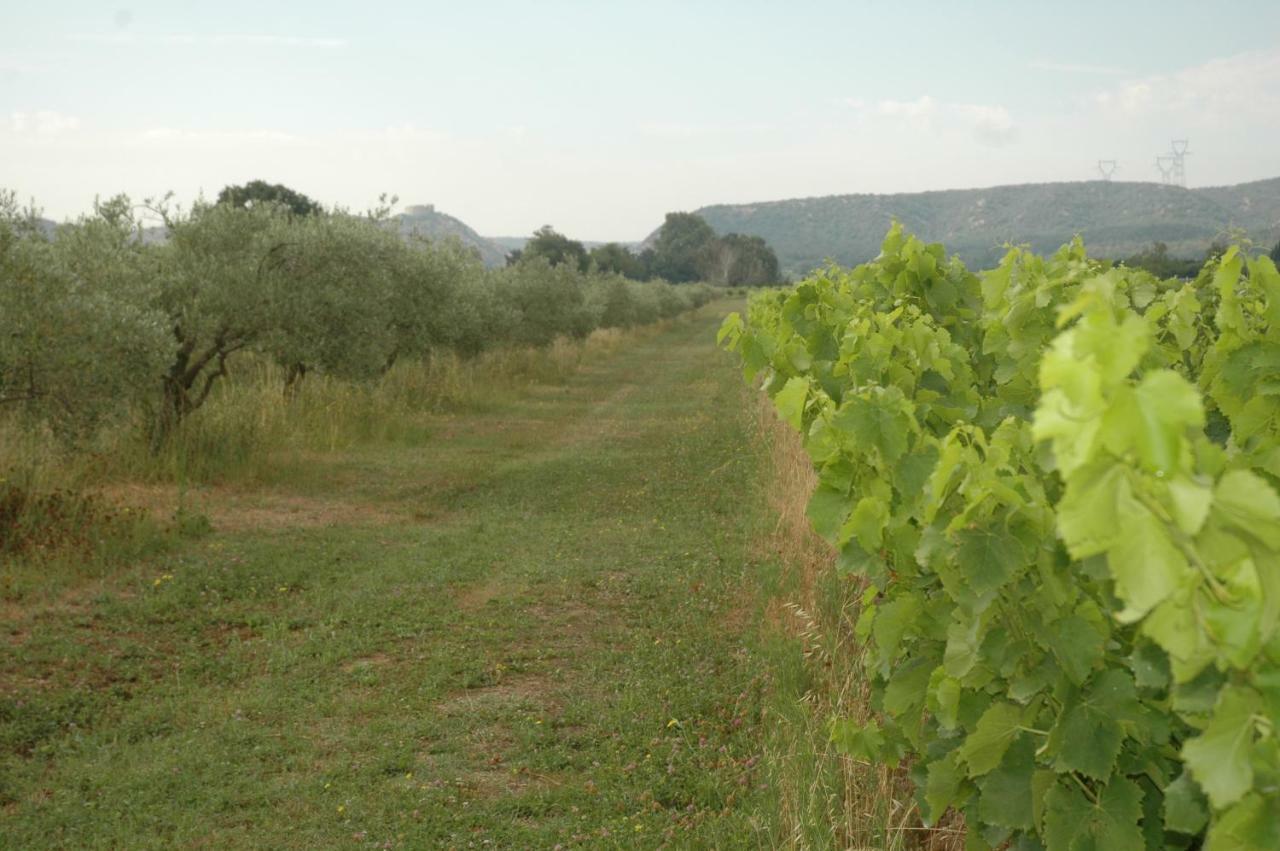 Domaine De Sevanes Saint-Paul-les-Fonts Экстерьер фото